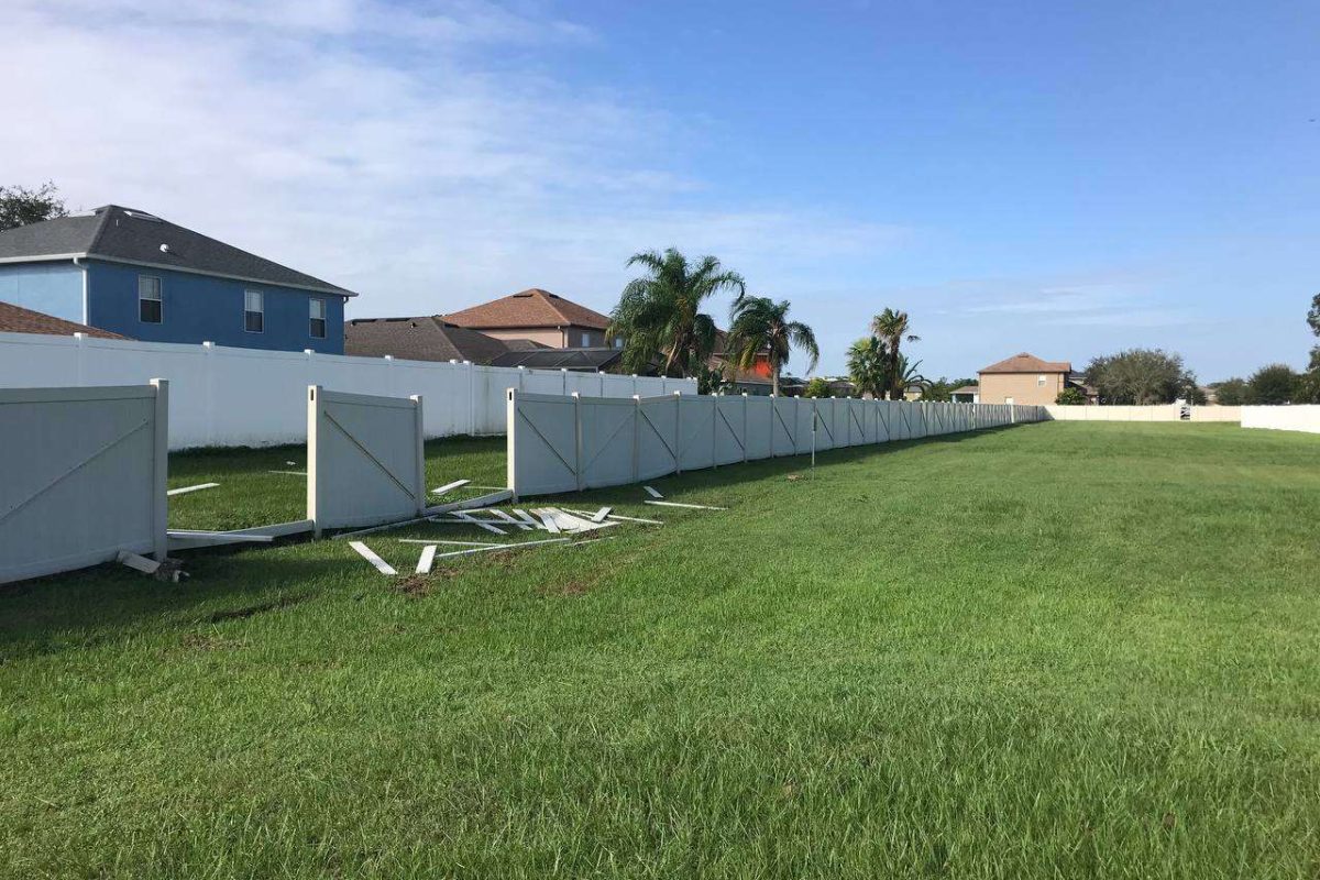 photo_2024-12-23_20-12-12