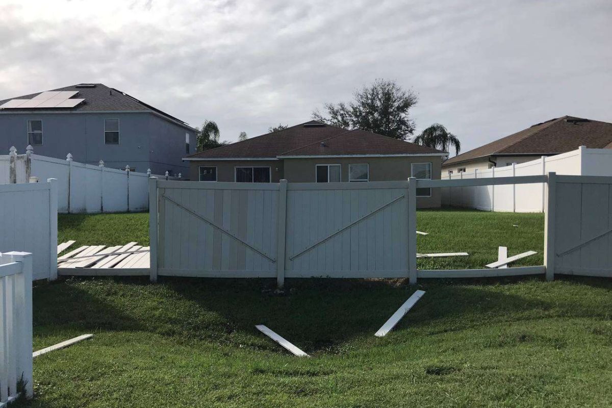 photo_2024-12-23_20-12-16