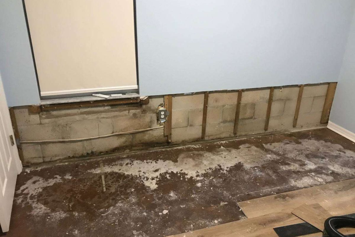 photo_2024-12-23_20-12-19