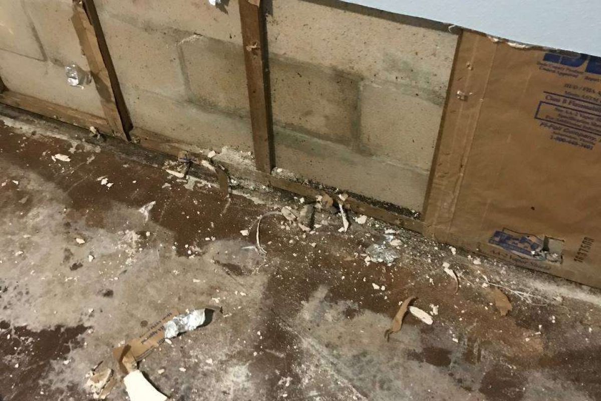 photo_2024-12-23_20-12-22