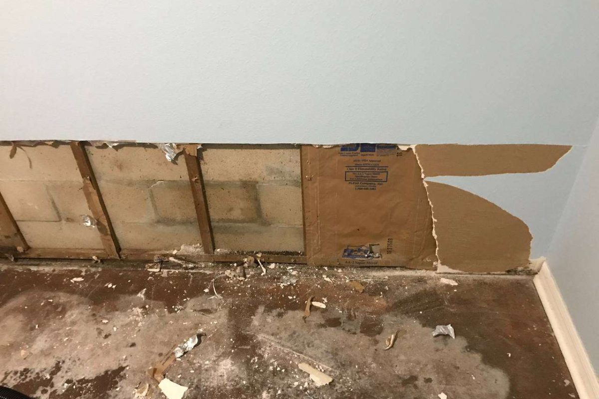 photo_2024-12-23_20-12-26