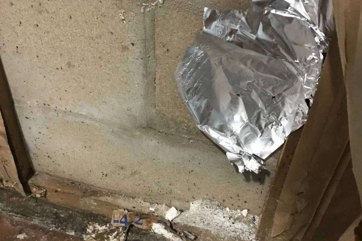 photo_2024-12-23_20-12-29