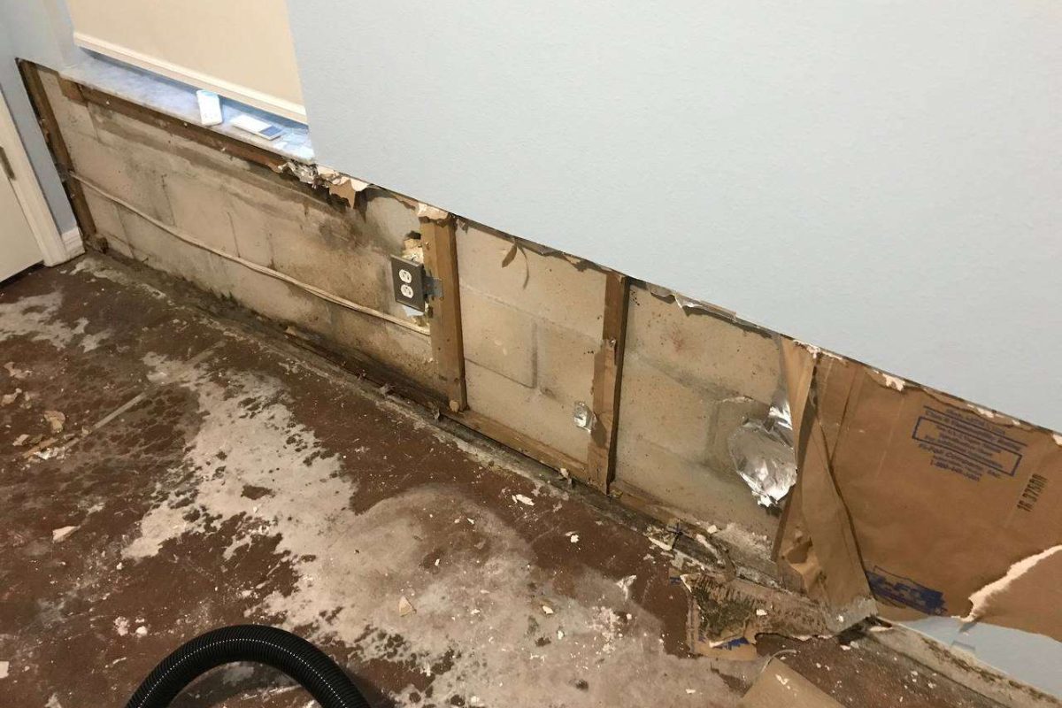 photo_2024-12-23_20-12-33