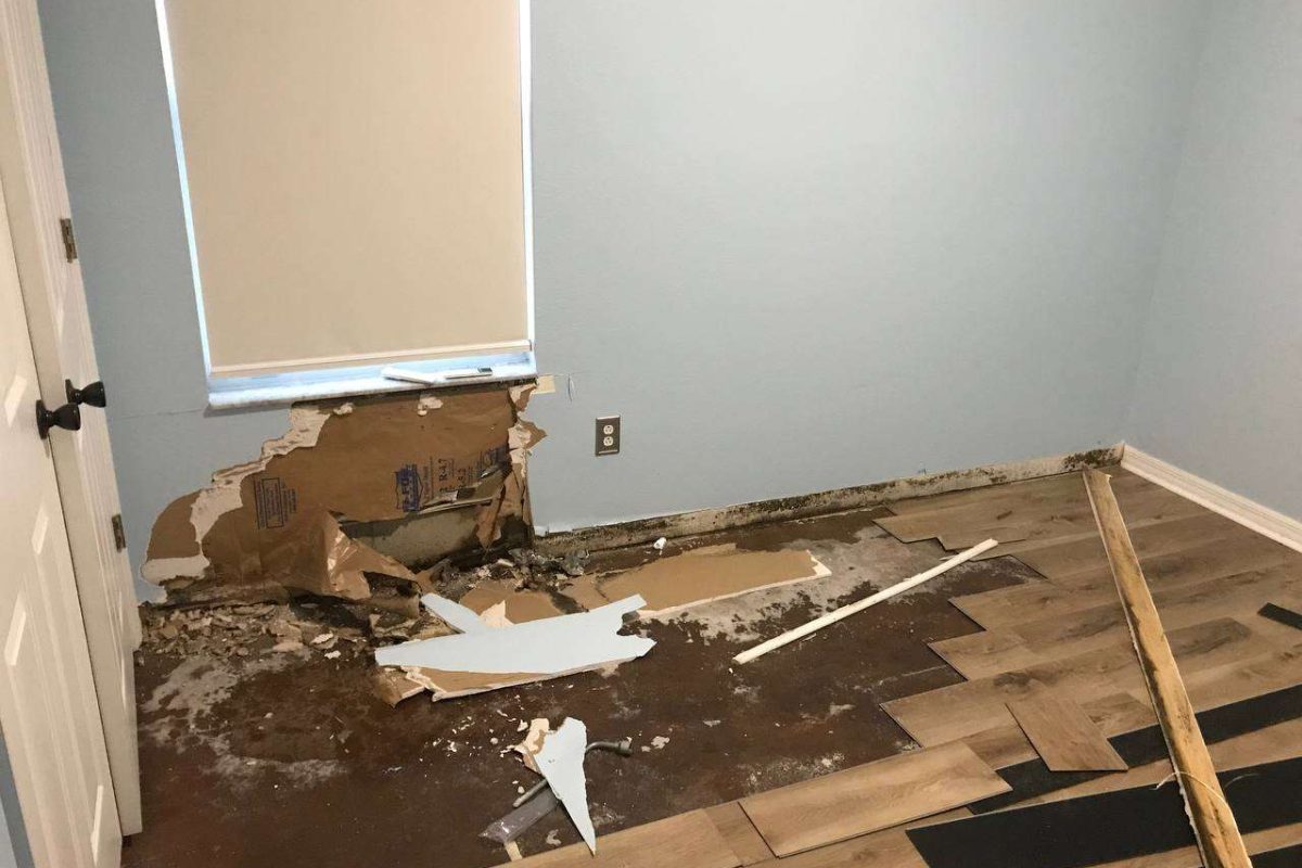 photo_2024-12-23_20-12-36