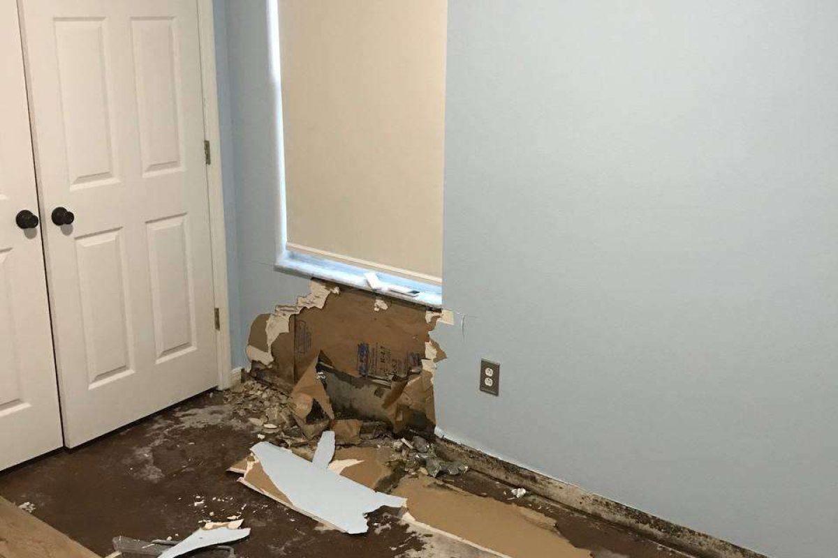 photo_2024-12-23_20-12-39