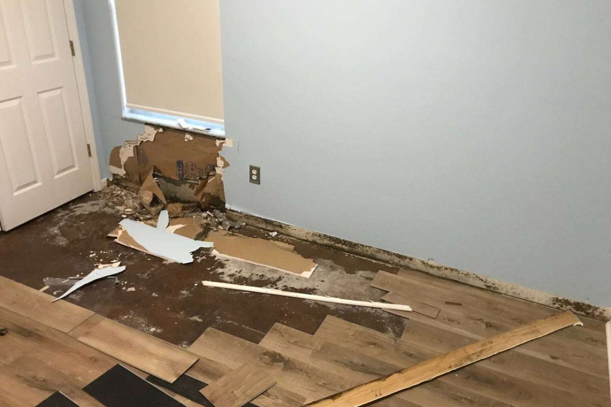 photo_2024-12-23_20-12-42