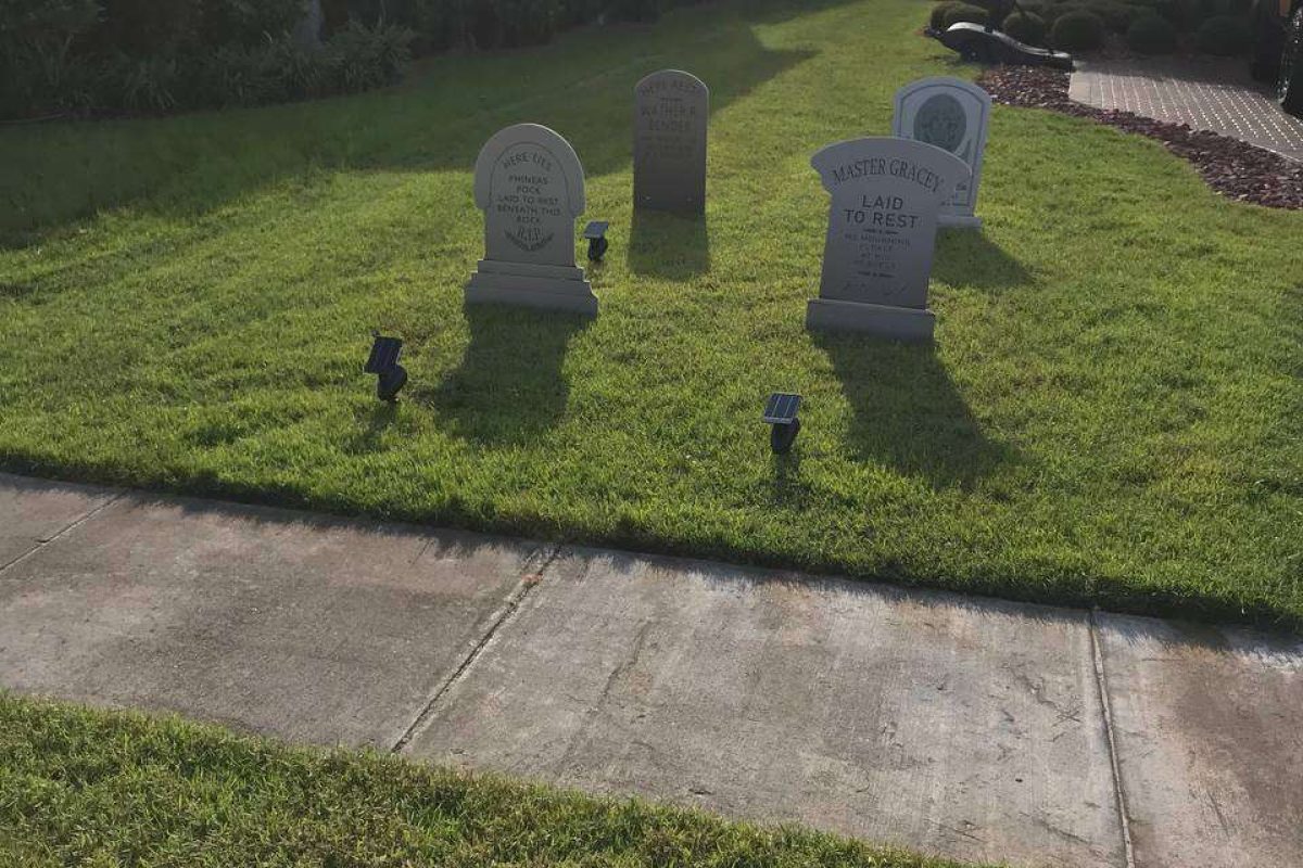 photo_2024-12-23_20-13-00