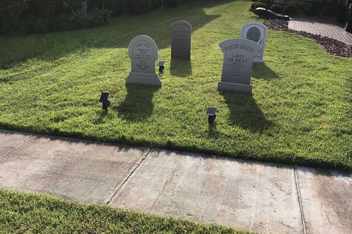 photo_2024-12-23_20-13-04