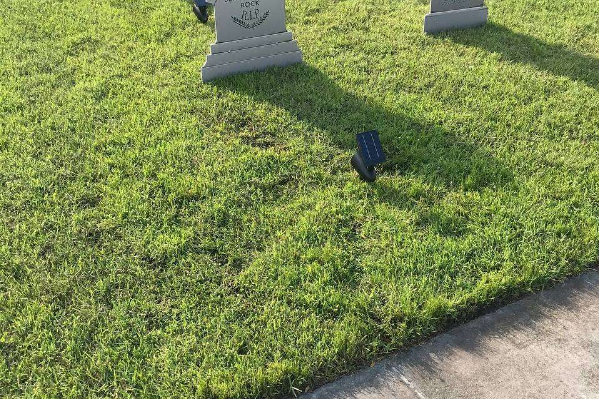 photo_2024-12-23_20-13-07