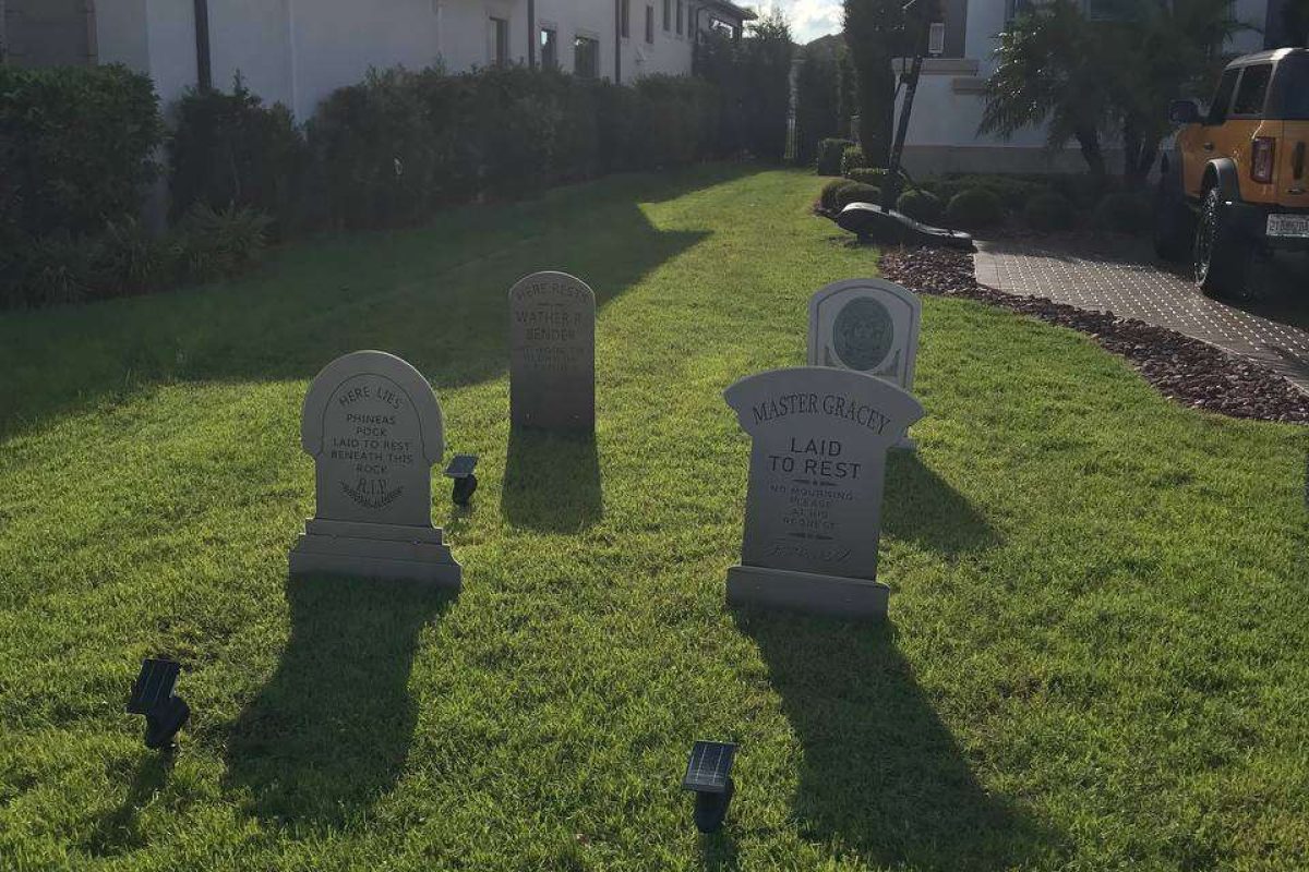 photo_2024-12-23_20-13-11