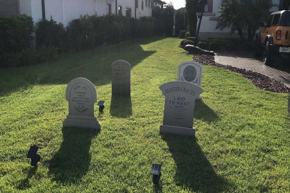 photo_2024-12-23_20-13-14