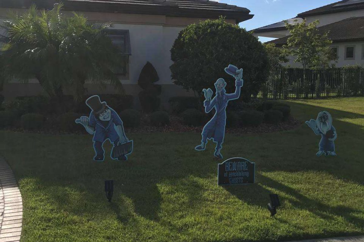 photo_2024-12-23_20-13-28