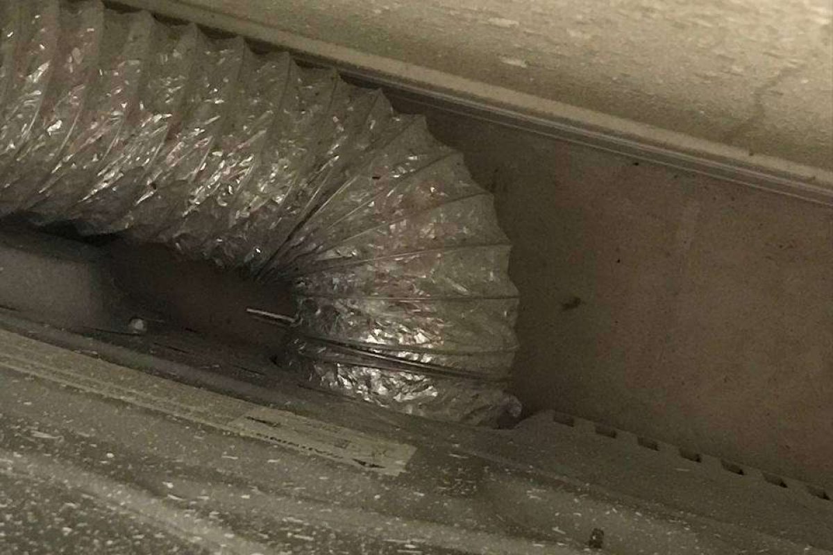 photo_2024-12-23_20-14-19